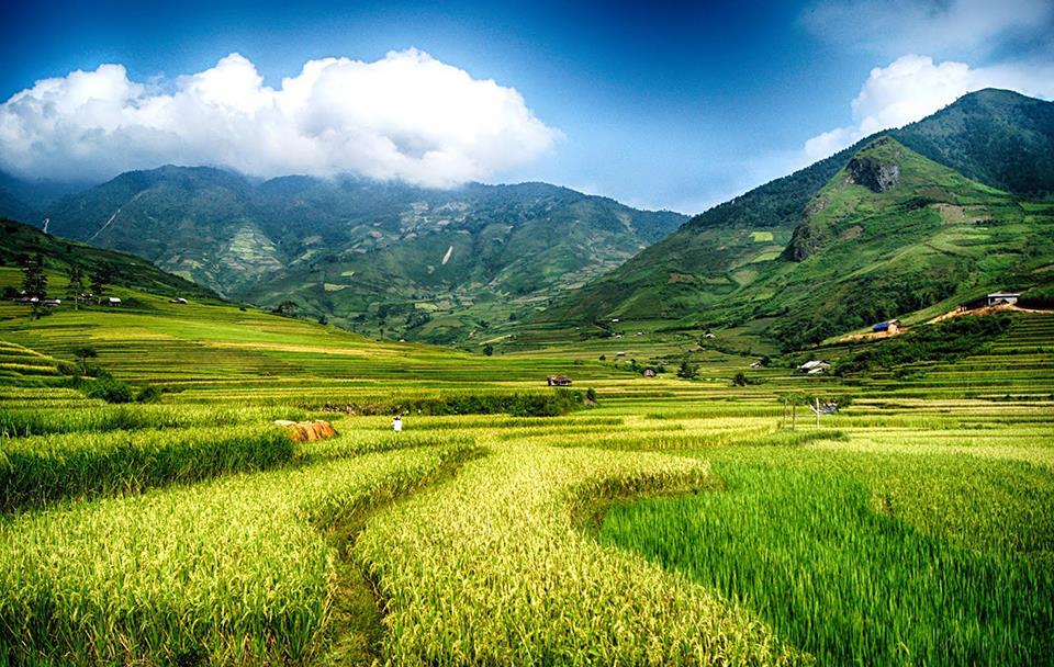 Lai Châu 3 Ngày 2 Đêm – Đèo Ô Quy Hồ – Pu Sam Cáp – Mường Tè